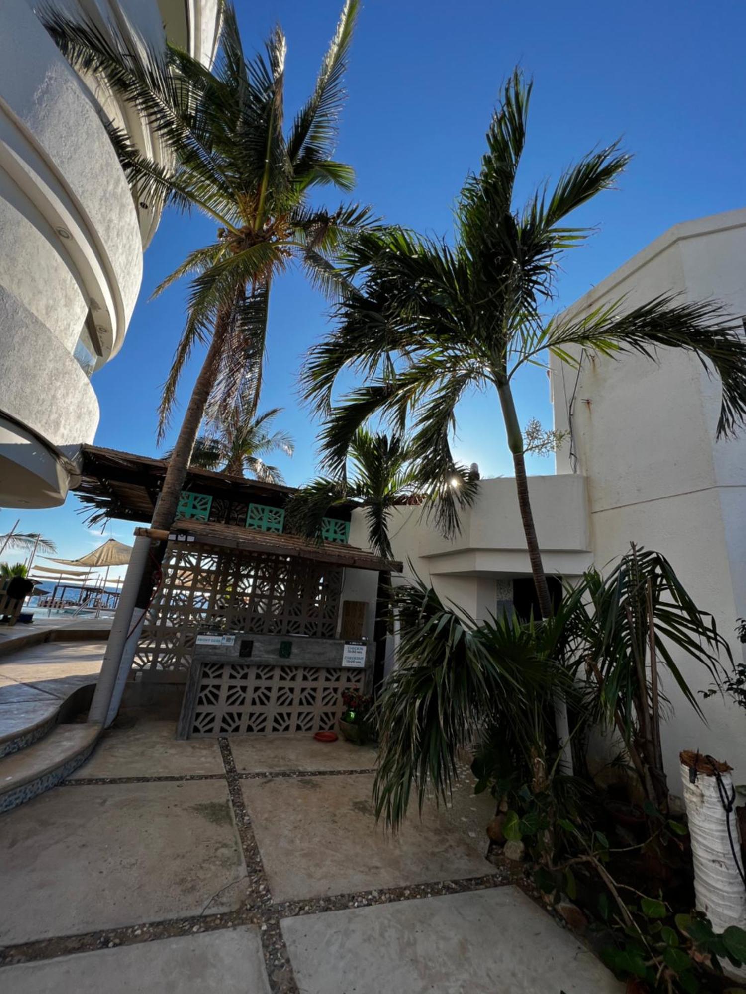 Condominio Agave Del Mar Coyuca de Benitez Ngoại thất bức ảnh